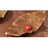 Ladybird Leaf Necklace